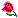 flower-2