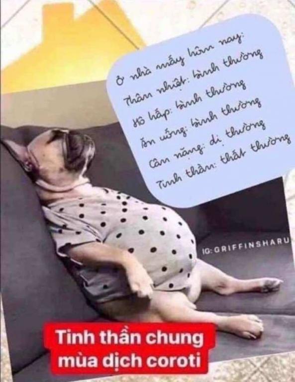 Click image for larger version

Name:	viber_image_2020-03-23_03-53-23.jpg
Views:	1
Size:	51.6 KB
ID:	377991