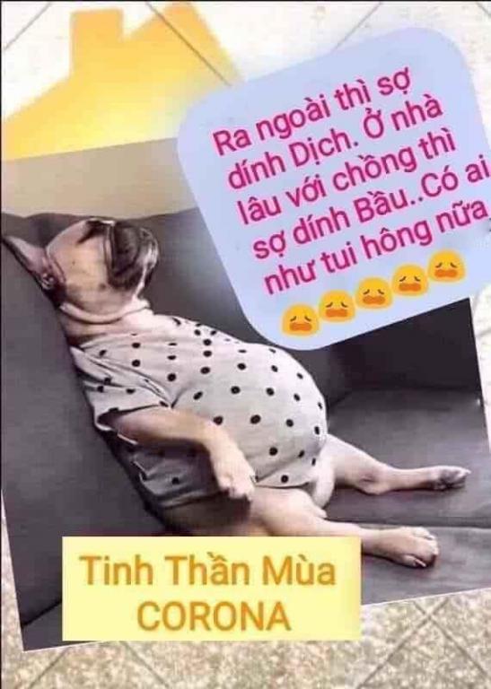 Click image for larger version

Name:	91113344_2955093581239602_6720544952520015872_n.jpg
Views:	2
Size:	53.7 KB
ID:	363475