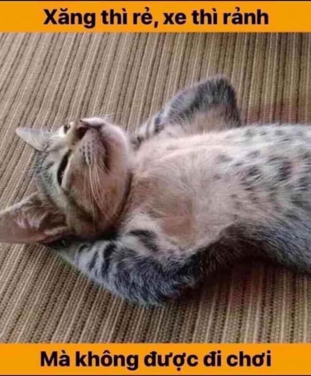 Click image for larger version

Name:	viber_image_2020-04-06_02-10-02.jpg
Views:	1
Size:	73.5 KB
ID:	377992