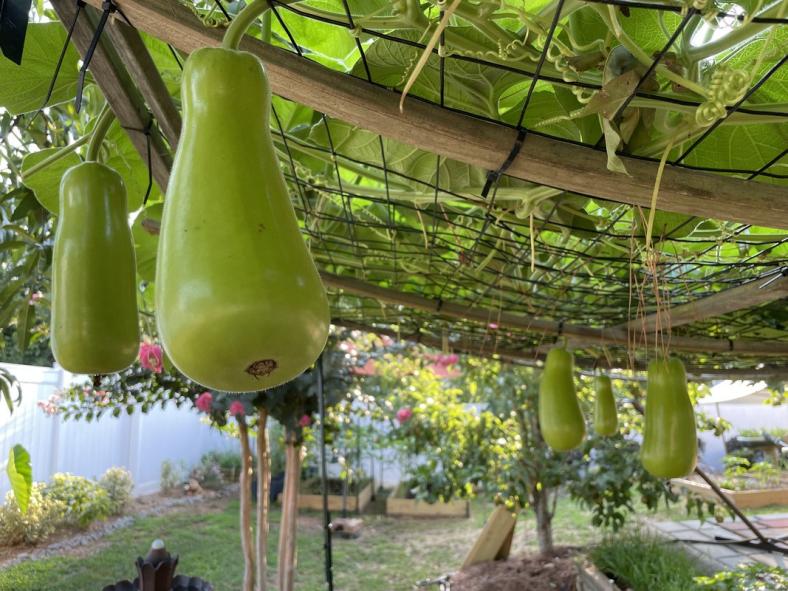 Click image for larger version

Name:	IMG-6448.jpg
Views:	140
Size:	91.9 KB
ID:	391414