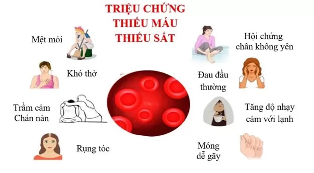 Click image for larger version  Name:	thieu-mau-do-thieu-sat-6603-9608.png.webp Views:	0 Size:	17.6 KB ID:	394436