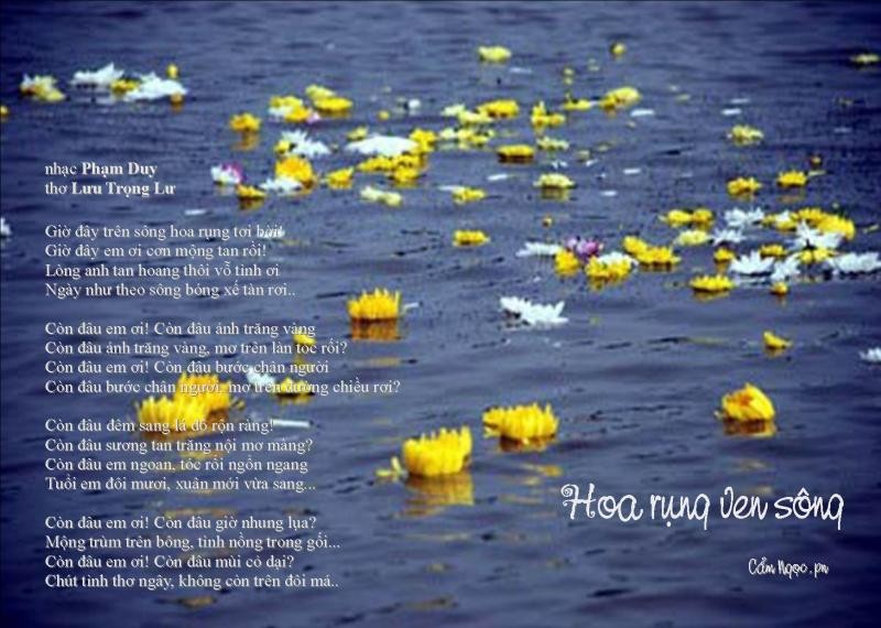 Click image for larger version

Name:	IMG_8832.jpg
Views:	16
Size:	108.7 KB
ID:	394856