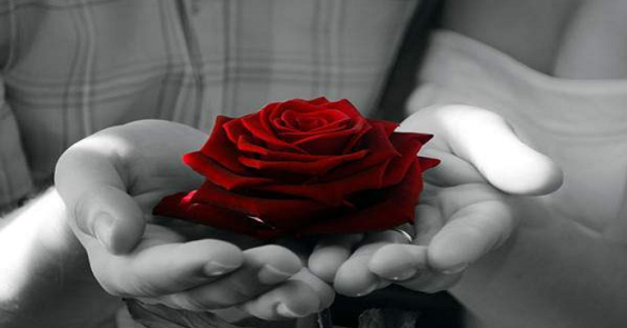 Click image for larger version

Name:	image.png
Views:	18
Size:	146.5 KB
ID:	395100