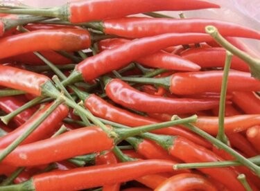 Click image for larger version

Name:	IMG_9175.jpg
Views:	22
Size:	31.7 KB
ID:	395125