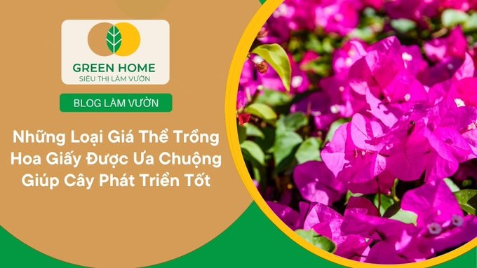 Click image for larger version  Name:	VN7-Aj5t.jpg Views:	0 Size:	62.2 KB ID:	395162