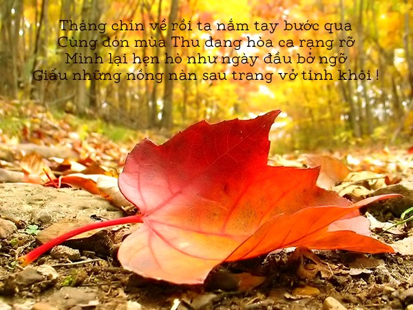 Click image for larger version

Name:	IMG_9517.jpg
Views:	5
Size:	110.0 KB
ID:	395343