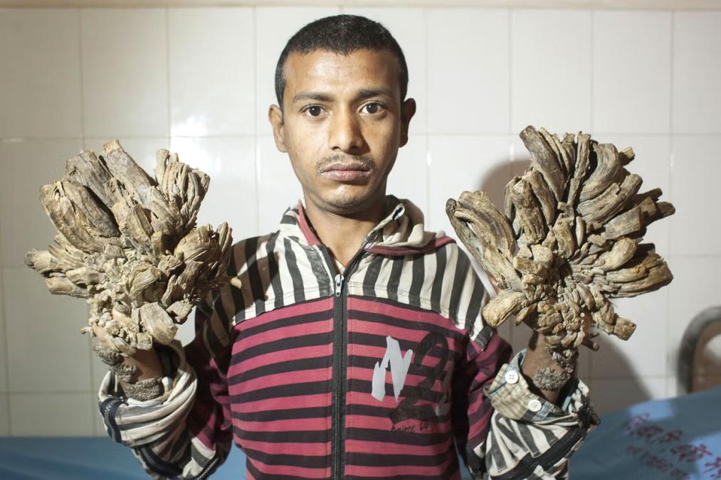 Click image for larger version

Name:	IMG_9589.jpg
Views:	19
Size:	94.4 KB
ID:	395440