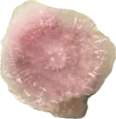 Click image for larger version

Name:	image.png
Views:	17
Size:	119.1 KB
ID:	395689