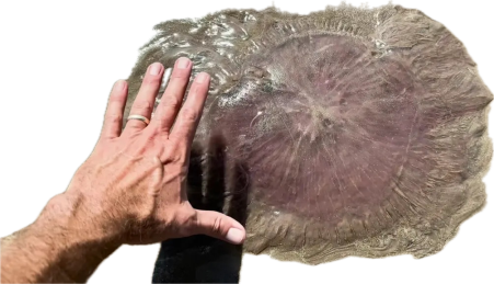 Click image for larger version

Name:	image.png
Views:	11
Size:	178.8 KB
ID:	395690