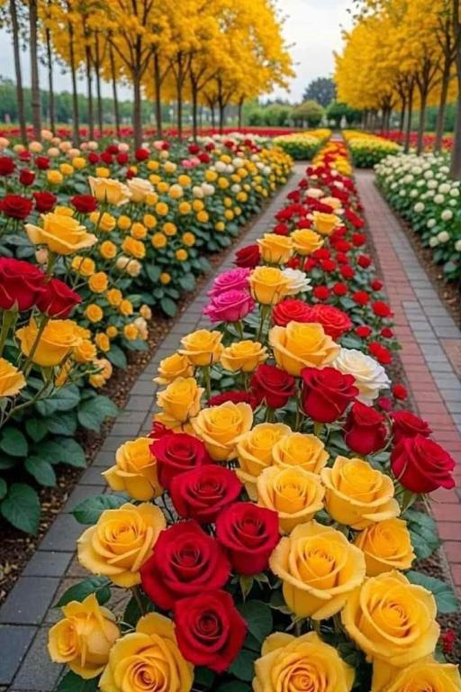 Click image for larger version  Name:	IMG_0241.jpg Views:	0 Size:	81.1 KB ID:	395732